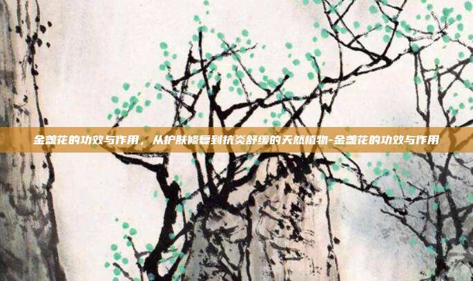 金盏花的功效与作用,从护肤修复到抗炎舒缓的天然植物-金盏花的功效与作用