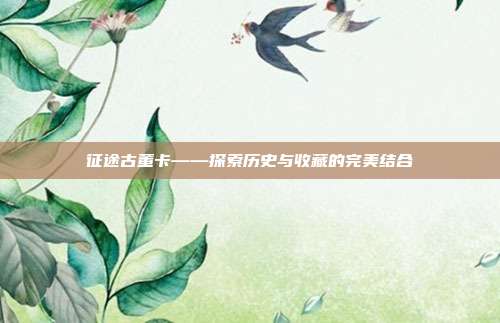 征途古董卡——探索历史与收藏的完美结合
