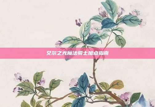 艾尔之光魔法骑士加点指南