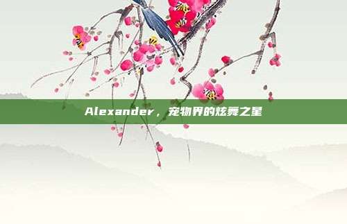 Alexander,宠物界的炫舞之星