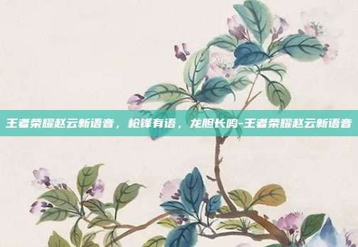 王者荣耀赵云新语音,枪锋有语,龙胆长鸣-王者荣耀赵云新语音