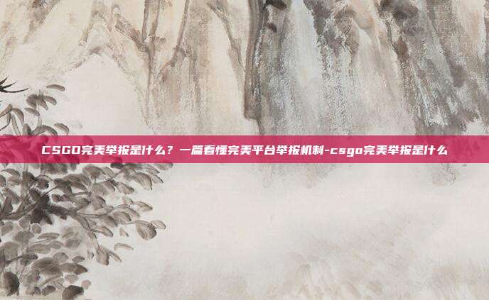 CSGO完美举报是什么?一篇看懂完美平台举报机制-csgo完美举报是什么