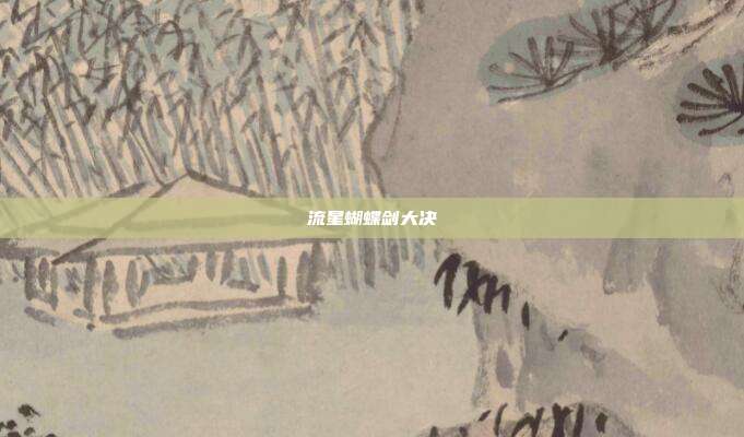 流星蝴蝶剑大决