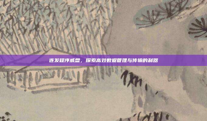 连发程序威盘，探索高效数据管理与传输的利器