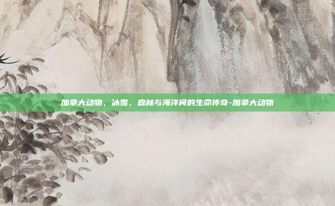 加拿大动物，冰雪、森林与海洋间的生命传奇-加拿大动物
