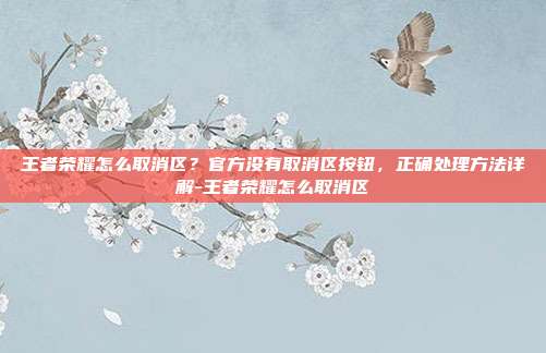 王者荣耀怎么取消区?官方没有取消区按钮,正确处理方法详解-王者荣耀怎么取消区