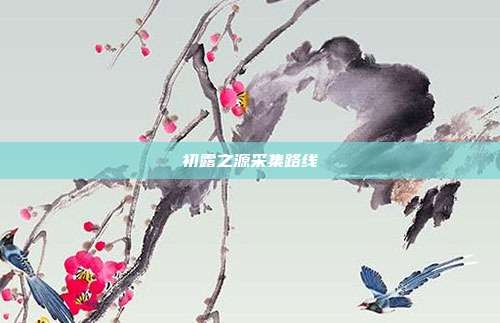 初露之源采集路线