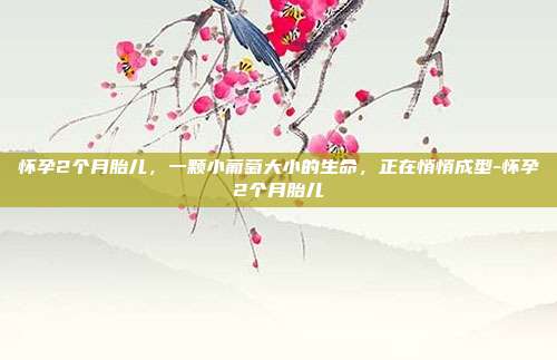 怀孕2个月胎儿，一颗小葡萄大小的生命，正在悄悄成型-怀孕2个月胎儿