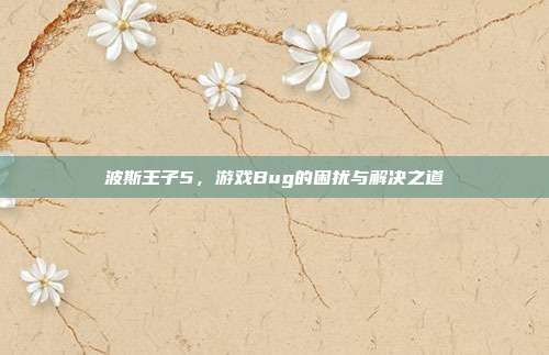 波斯王子5，游戏Bug的困扰与解决之道