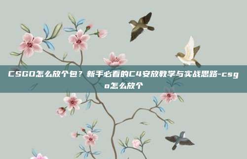 CSGO怎么放个包？新手必看的C4安放教学与实战思路-csgo怎么放个