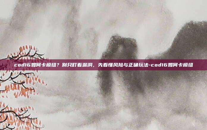 cod16如何卡模组?别只盯着漏洞,先看懂风险与正确玩法-cod16如何卡模组