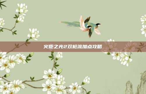 火炬之光2双枪流加点攻略