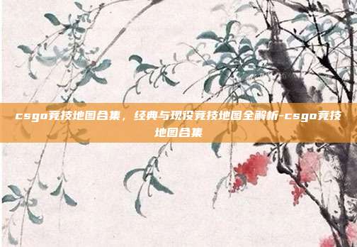 csgo竞技地图合集,经典与现役竞技地图全解析-csgo竞技地图合集