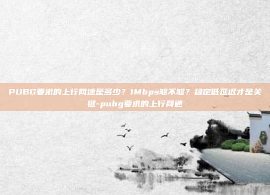PUBG要求的上行网速是多少？1Mbps够不够？稳定低延迟才是关键-pubg要求的上行网速