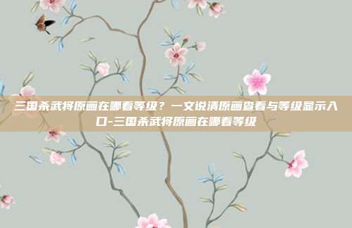 三国杀武将原画在哪看等级?一文说清原画查看与等级显示入口-三国杀武将原画在哪看等级
