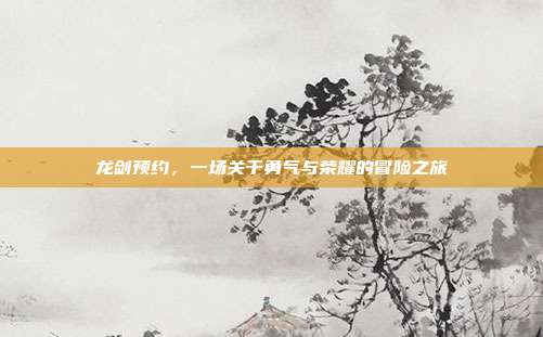 龙剑预约,一场关于勇气与荣耀的冒险之旅