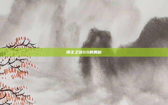 领主之塔SS的奥秘