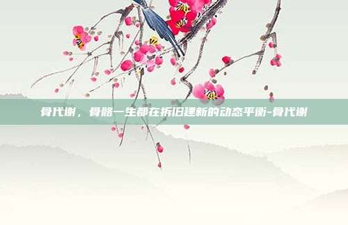 骨代谢,骨骼一生都在拆旧建新的动态平衡-骨代谢