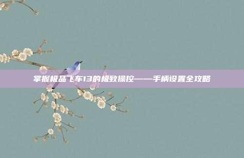 掌握极品飞车13的极致操控——手柄设置全攻略