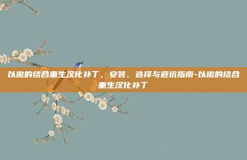 以撒的结合重生汉化补丁,安装、选择与避坑指南-以撒的结合重生汉化补丁