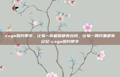 csgo图片带字,让每一张截图都有台词,让每一局开黑都有记忆-csgo图片带字