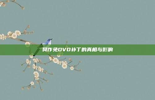臭作免DVD补丁的真相与影响