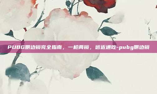 PUBG侧边镜完全指南,一枪两镜,远近通吃-pubg侧边镜