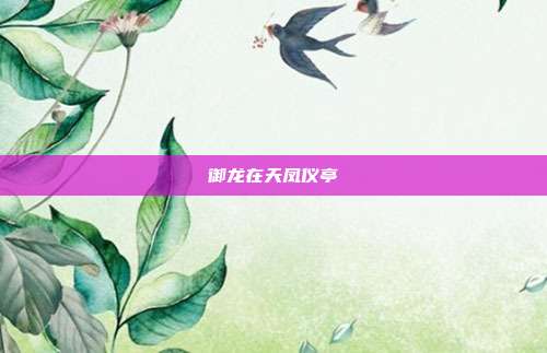 御龙在天凤仪亭