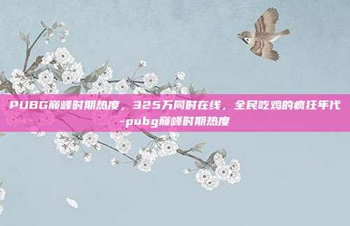 PUBG巅峰时期热度,325万同时在线,全民吃鸡的疯狂年代-pubg巅峰时期热度