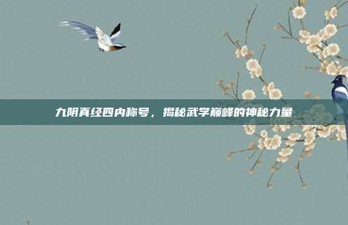 九阴真经四内称号，揭秘武学巅峰的神秘力量
