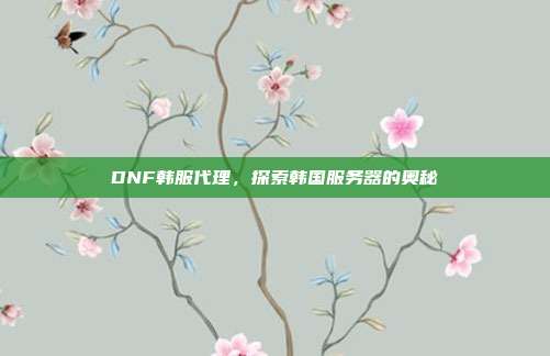 DNF韩服代理,探索韩国服务器的奥秘
