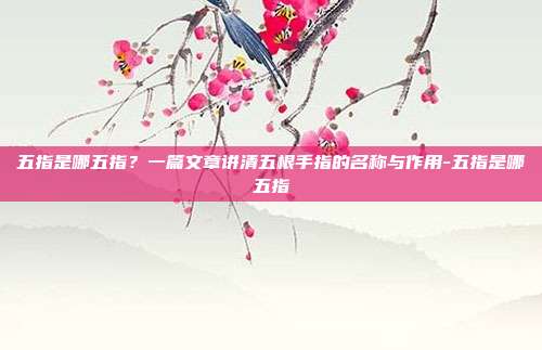 五指是哪五指?一篇文章讲清五根手指的名称与作用-五指是哪五指