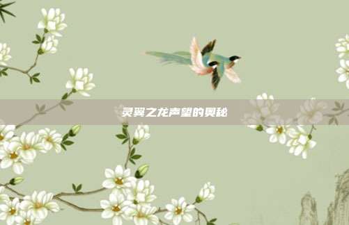 灵翼之龙声望的奥秘