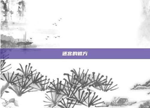 迷宫的彼方