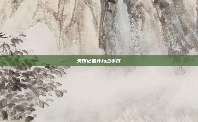 央媒记者评梅西事件