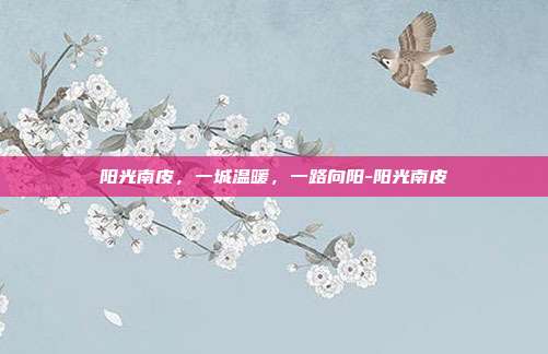 阳光南皮，一城温暖，一路向阳-阳光南皮