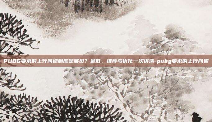 PUBG要求的上行网速到底是多少?最低、推荐与优化一次讲清-pubg要求的上行网速