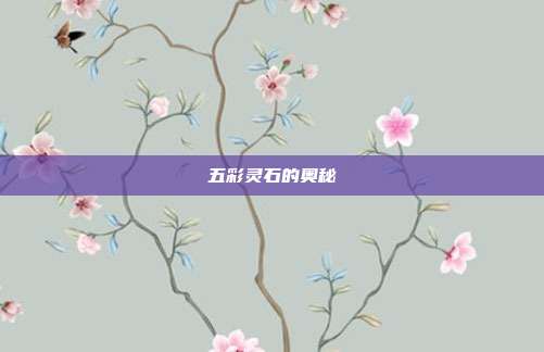 五彩灵石的奥秘