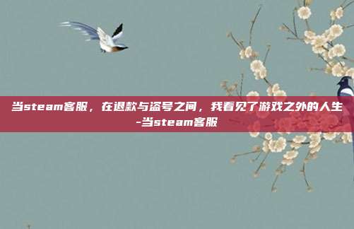 当steam客服,在退款与盗号之间,我看见了游戏之外的人生-当steam客服