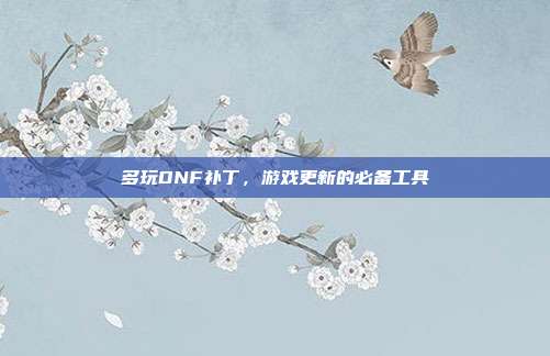 多玩DNF补丁，游戏更新的必备工具