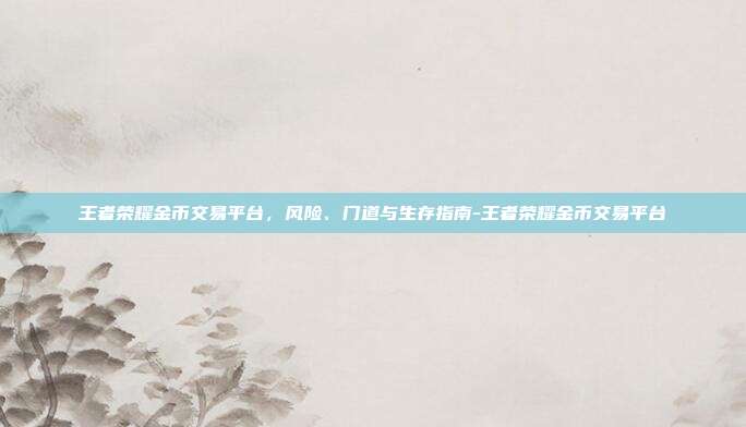 王者荣耀金币交易平台，风险、门道与生存指南-王者荣耀金币交易平台