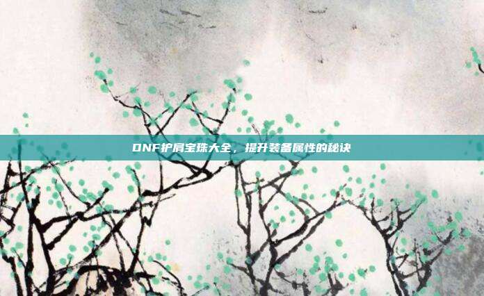 DNF护肩宝珠大全，提升装备属性的秘诀