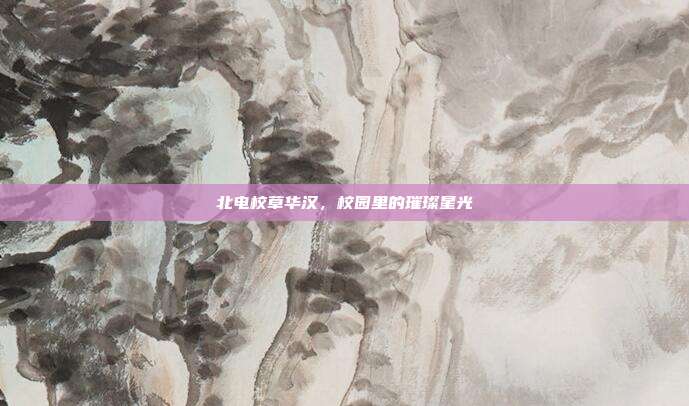 北电校草华汉，校园里的璀璨星光