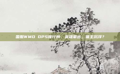 国服WMO DPS排行榜，英雄辈出，谁主沉浮？
