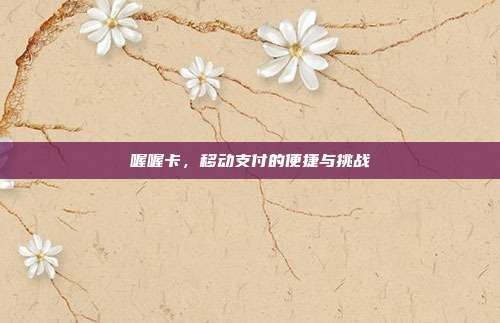 喔喔卡,移动支付的便捷与挑战