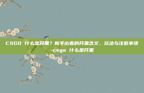 CSGO 什么是开黑?新手必看的开黑含义、玩法与注意事项-csgo 什么是开黑