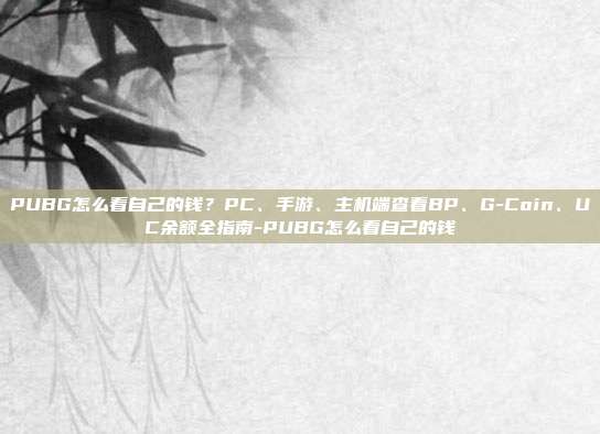 PUBG怎么看自己的钱?PC、手游、主机端查看BP、G-Coin、UC余额全指南-PUBG怎么看自己的钱