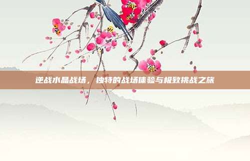 逆战水晶战场,独特的战场体验与极致挑战之旅