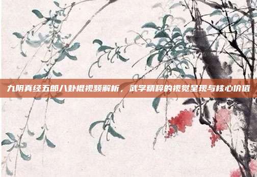九阴真经五郎八卦棍视频解析,武学精粹的视觉呈现与核心价值