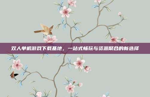 双人单机游戏下载基地,一站式畅玩与资源聚合的新选择